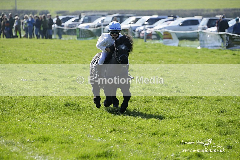 PtP 190322 39 - Wilton Hunt PtP Milborne St Andrew 19/03/22