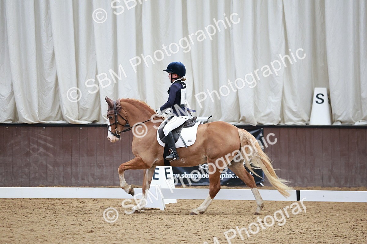 SBM_003972 - Class 2 - Novice 2020