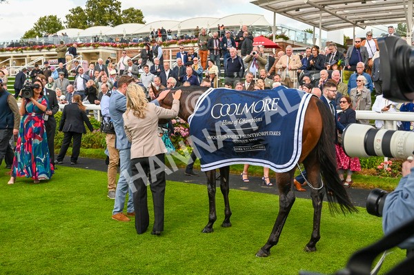 230824-Race 4-Bradsell-9133 - Race 4 3.35pm Coolmore Wootton Bassett Nunthorpe Stakes