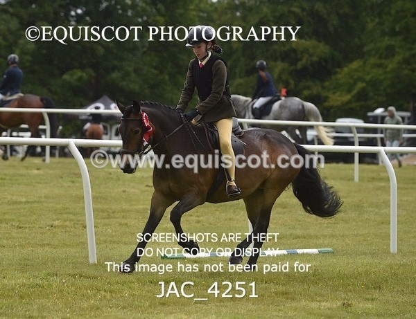 JAC_4251 - WORKING HUNTER CHAMPIONSHIP