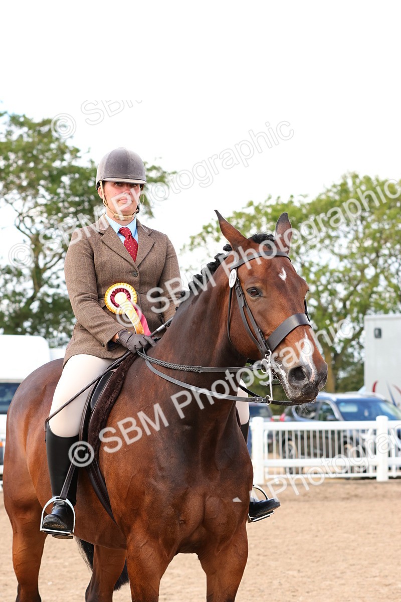 SBM_13576 - Class 212 - Ridden Hunter  - Large