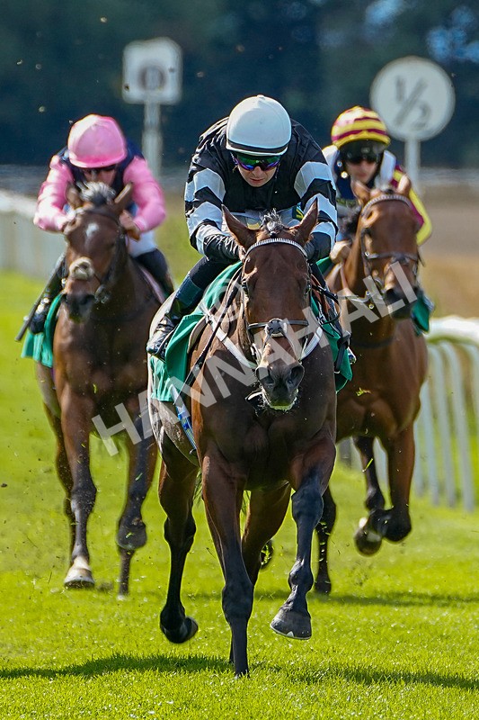 050926-Race 4-Oolong Poobong-3 - Race 4 3.15pm British Stallion Studs EBF Fillies' Handicap