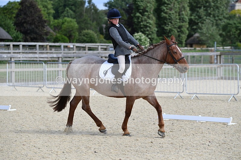 WJ5_7546 - Time 16:25 to 16:37