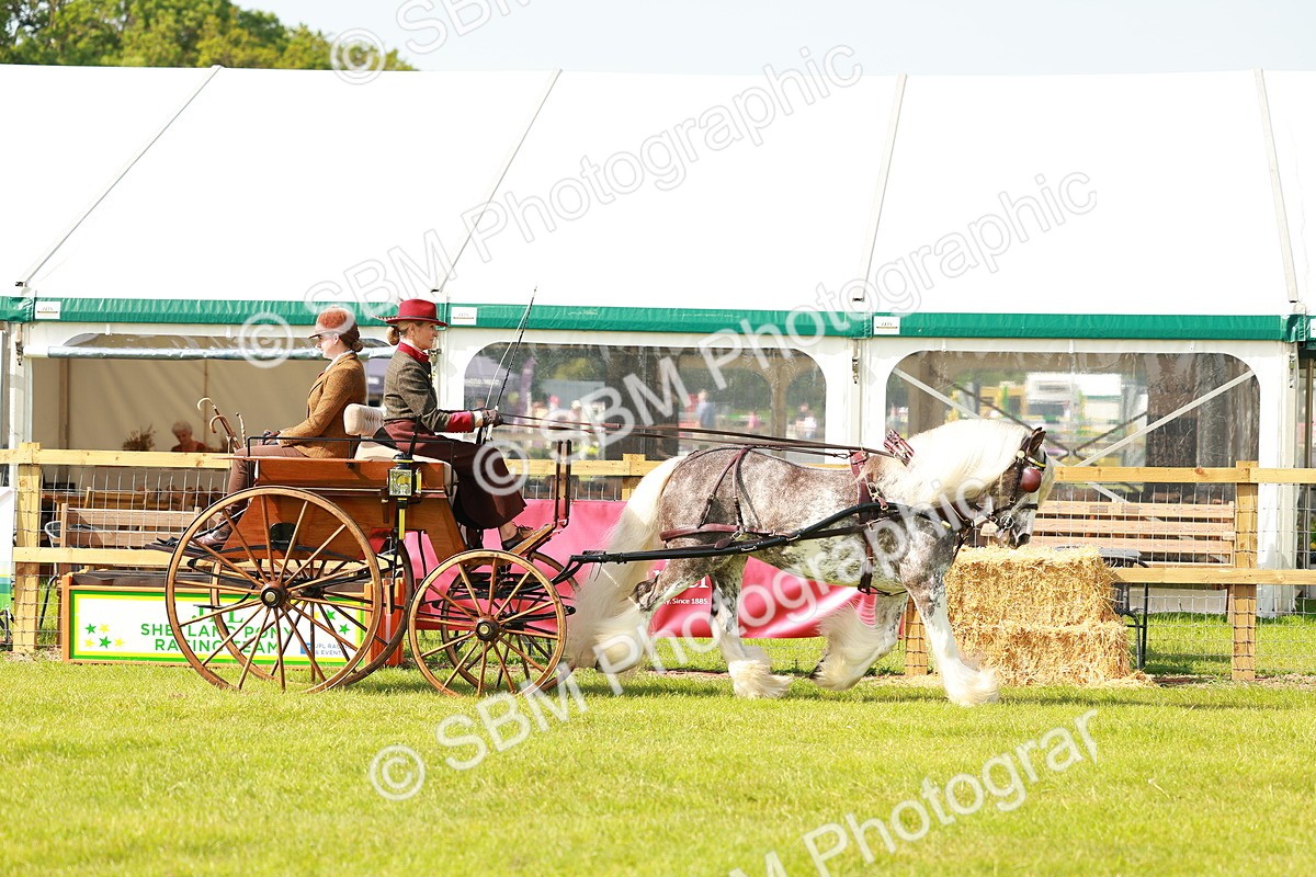 SBM_02563 - Class 2-4 - HOYS Private Driving