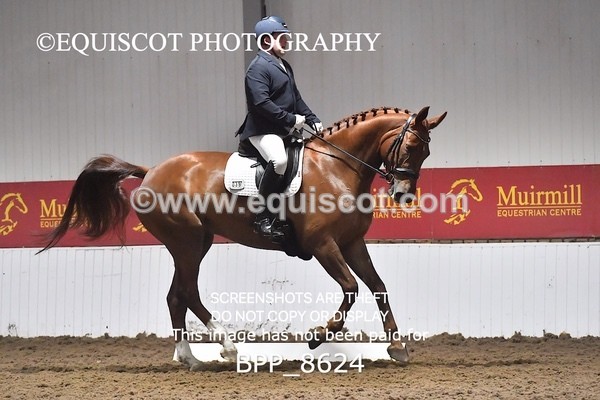 BPP_8624 - NOVICE 4 BD