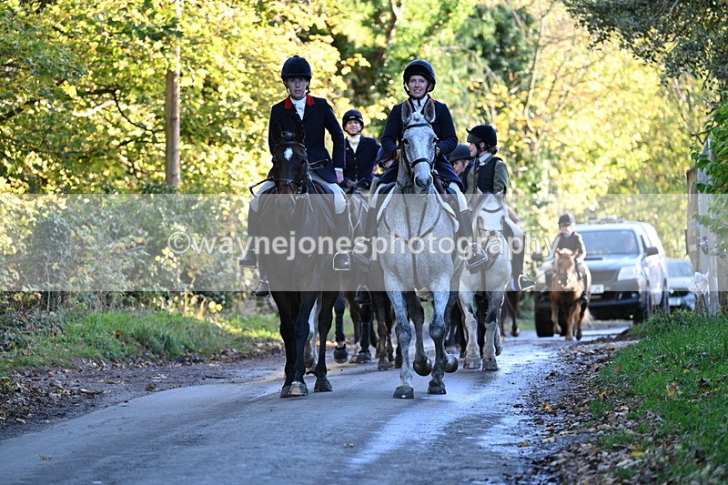 WJ7_8693 - Walk Home