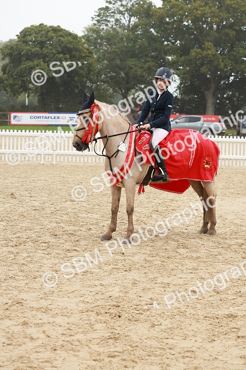 SBM_73522 - Supreme Championship Junior Pony 60cm & 65cm