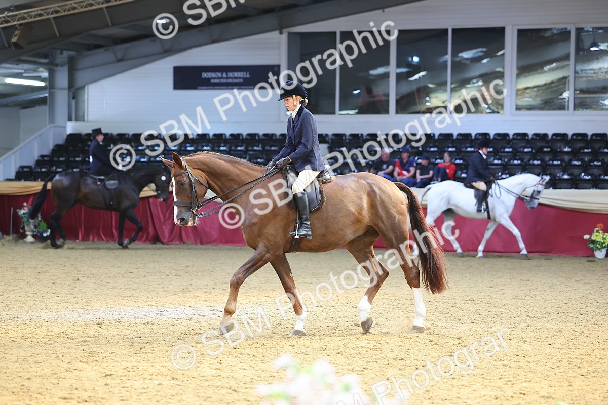 SBM_24556 - Class 906 - Supreme Final - Ridden Pre Vet