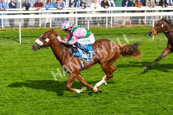 170523-Race 6-Mon Na Slieve-0802 - Race 6 4.45pm British EBF 40th Anniversary Novice Stakes