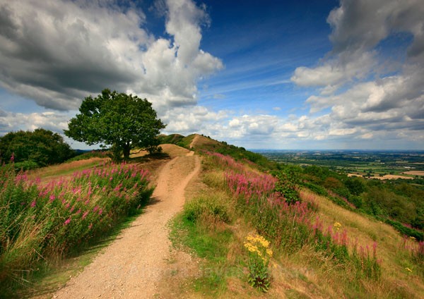 Forever Summer - The Malvern Hills