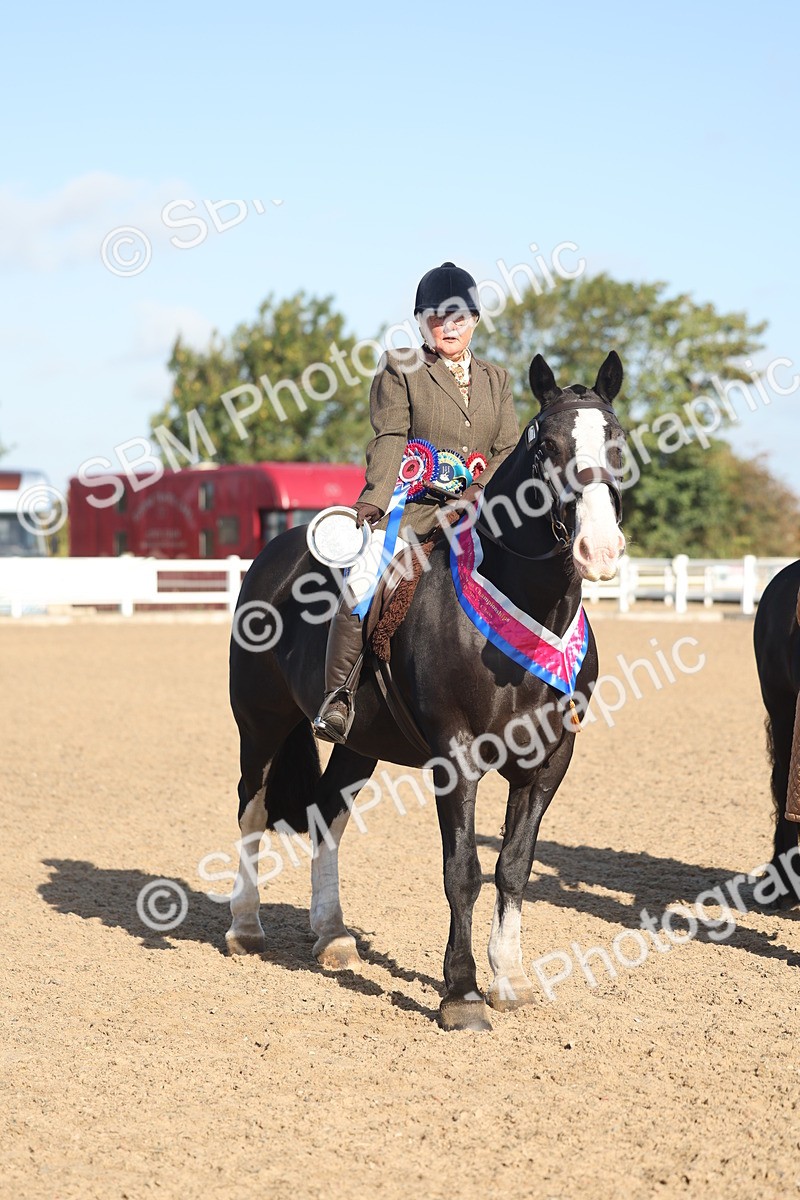 SBM_22235 - Class 802 - Ridden Groom Helpers Class