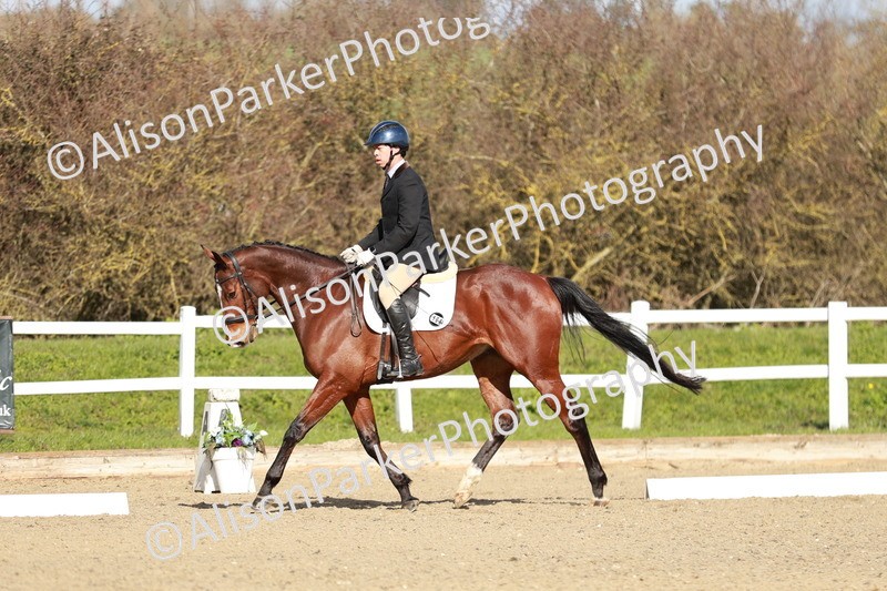 20260314-4391 - DR4 - Prelim 2