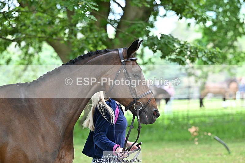 250521A-152840-00536 - B-368-Katey.Cuthbertson-PROSECCO