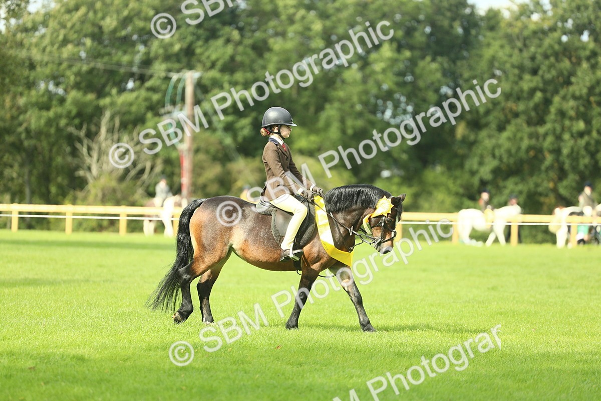 SBM_44880 - Working Hunter Pony Supreme Championship