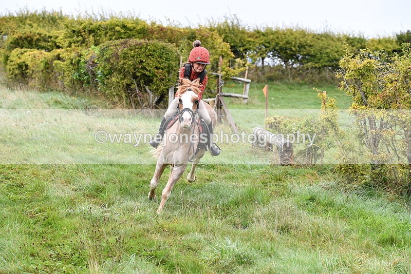 WJ5_5846 - Time 10:46 to 11:09