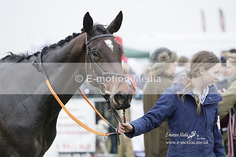 PtP 050323 749 - Blackmore & Sparkford Vale Hunt PtP - Somerset 05/03/23