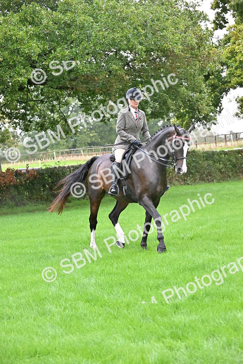 SBM_35725 - S16 - Top Turnout - Ridden