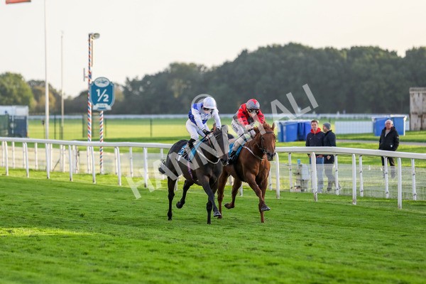 131023-Race 7-Thunder Roar-9961 - Race 7 5.35pm Visit Irish Bloodstock Sales With ITM Apprentice Handicap