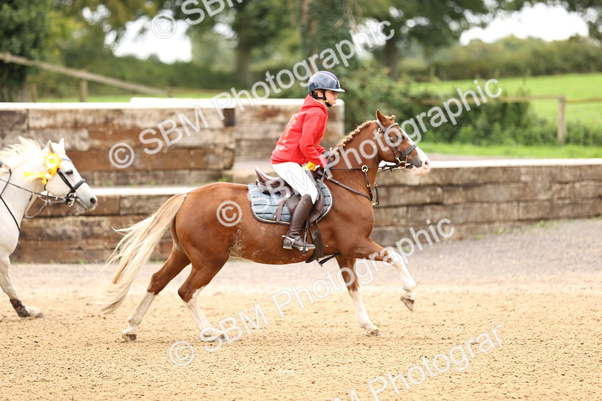 SBM_66761 - J17 - Junior Pony 80cm Championship