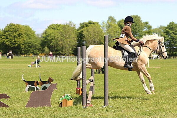 IMG_3660 - Working Hunter