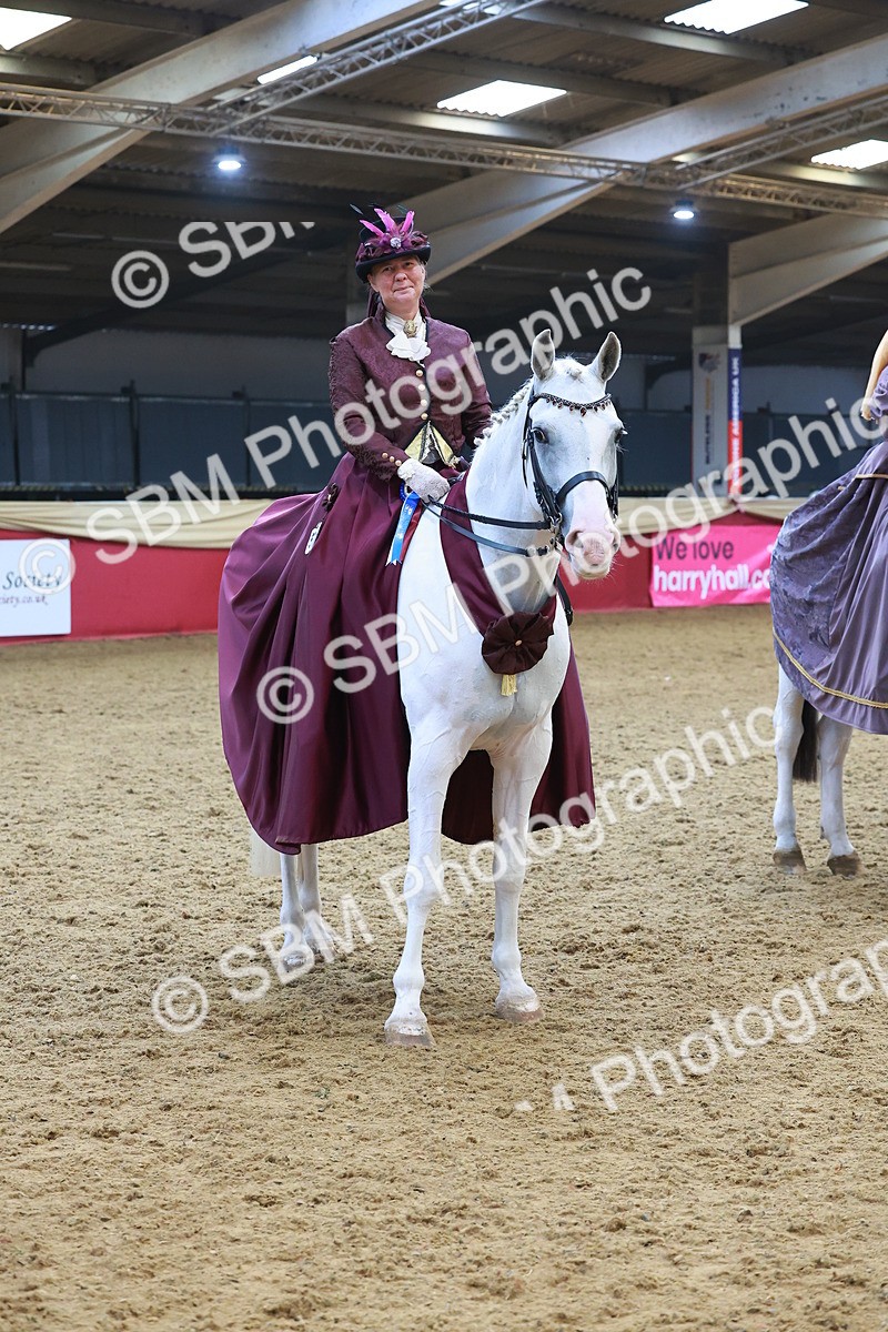 SBM_14844 - Class 108 - Ridden Costume - Astride Adult (20+)