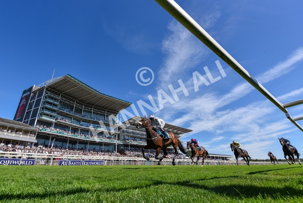 120725-Race 4-Al Qareem-7107 - Race 4 3.45pm John Smith's Silver Cup Stakes