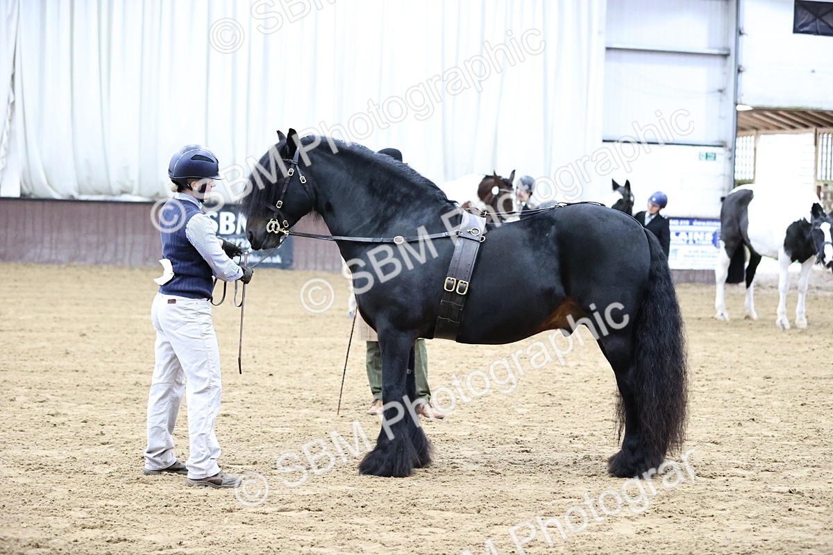 SBM_5298 - Class 32 - In Hand Cob Type