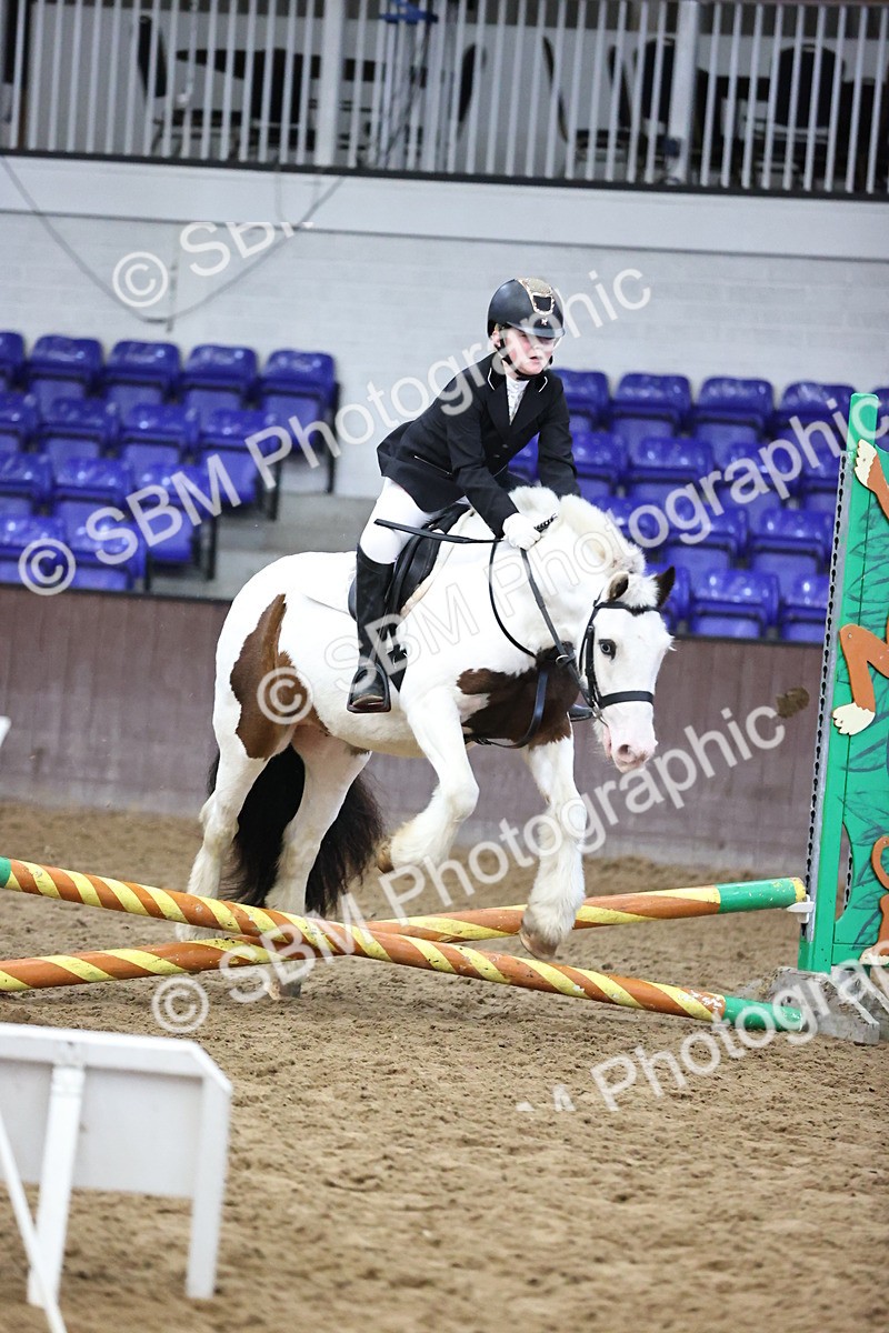 SBM_000206 - Class 2 - The Rug Lady 40cm Area 12 Championship Qualifier