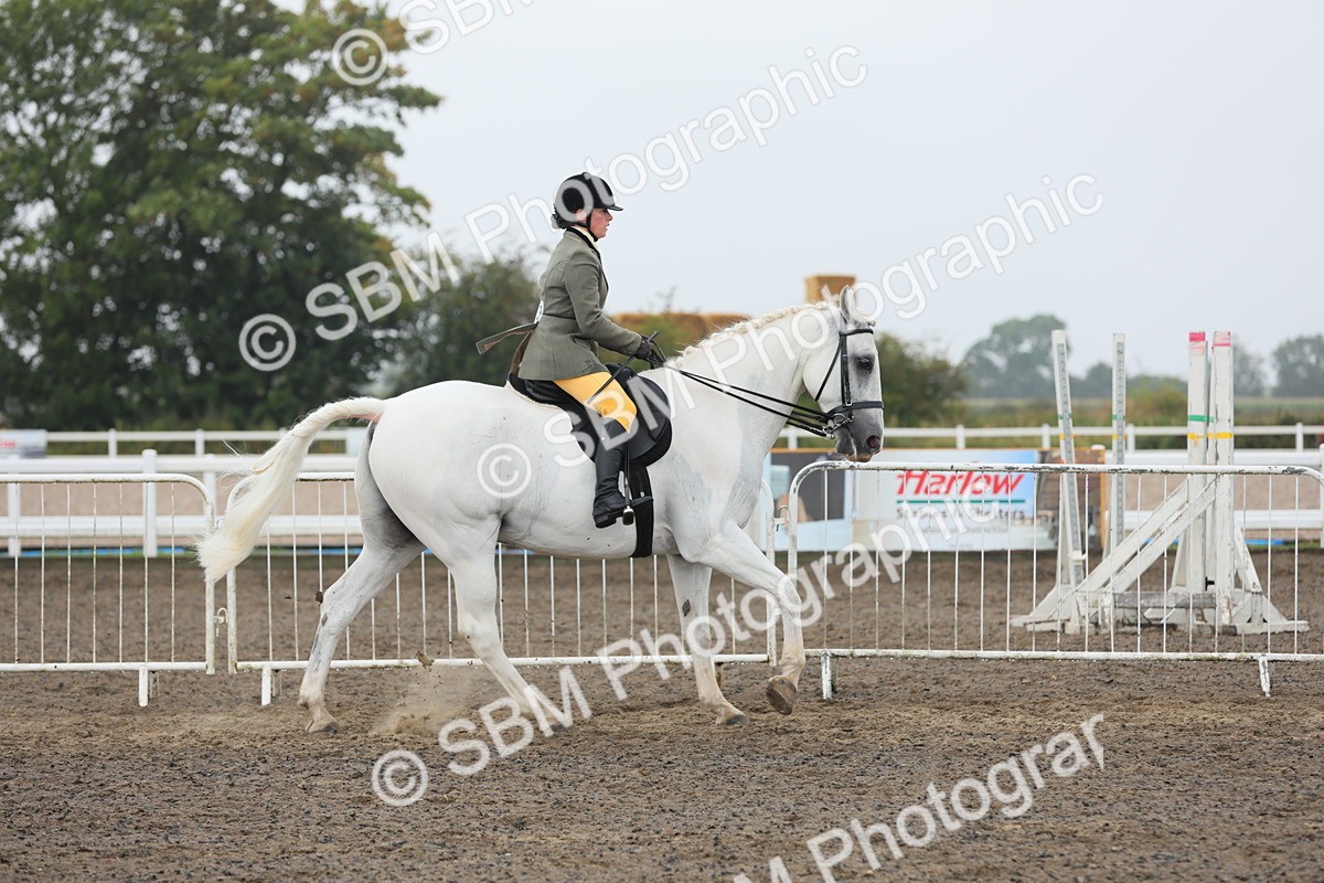SBM_21246 - Class 805 - Ridden Veteran Horse