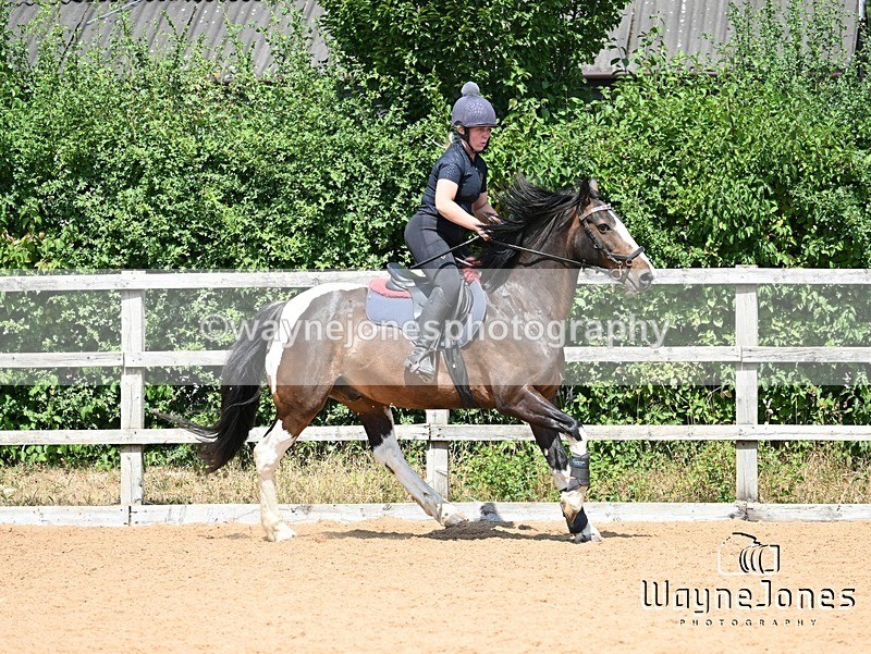 WJ7_6546 - Show Jumping at BCA
