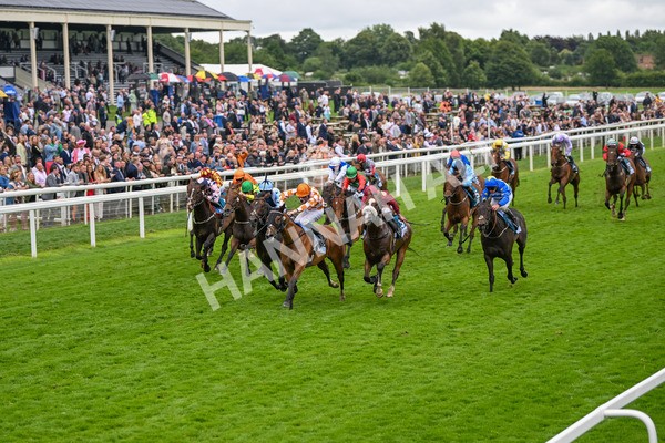 130724-Race 7-Ray Vonn-7889 - Race 7 5.25pm John Smith's Sprint Handicap