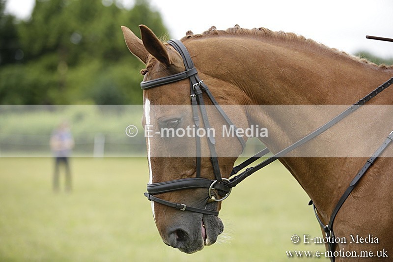 BVR160717-760 - Ring 1 BVRC Show 16/07/17