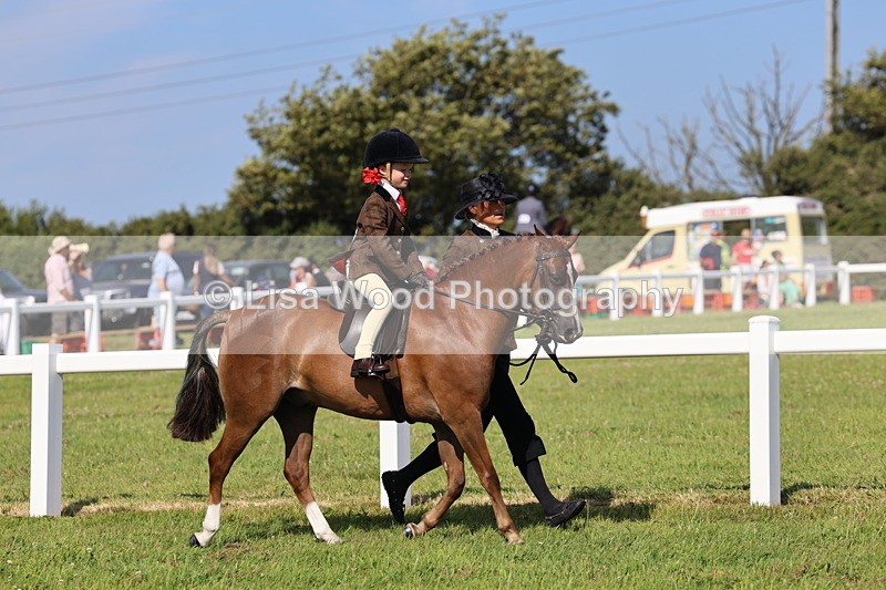 IMG_1710 - Class 31: Lead Rein SP/SHP