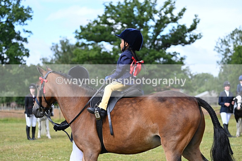 WJ7_4583 - Class 1 Lead Rein Pony