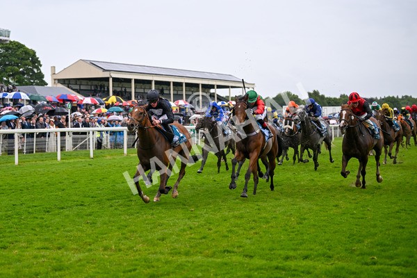 150624-Race 7-Holkham Bay-8193 - Race 7 5.25pm Fordy Marshall Land And Property Consultants Handicap