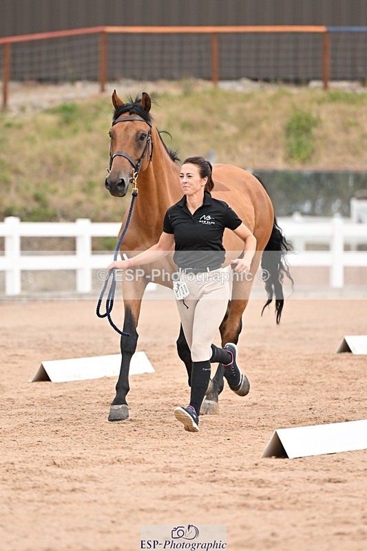 250716-152629-01945 - Trot Up 2.30 to 3.30