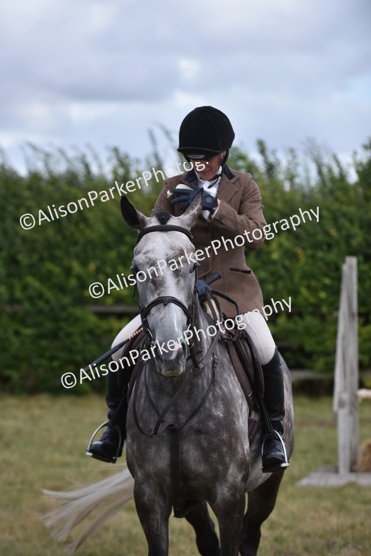 20250831-4139 - Class 13 - Working Hunter Horse or Pony