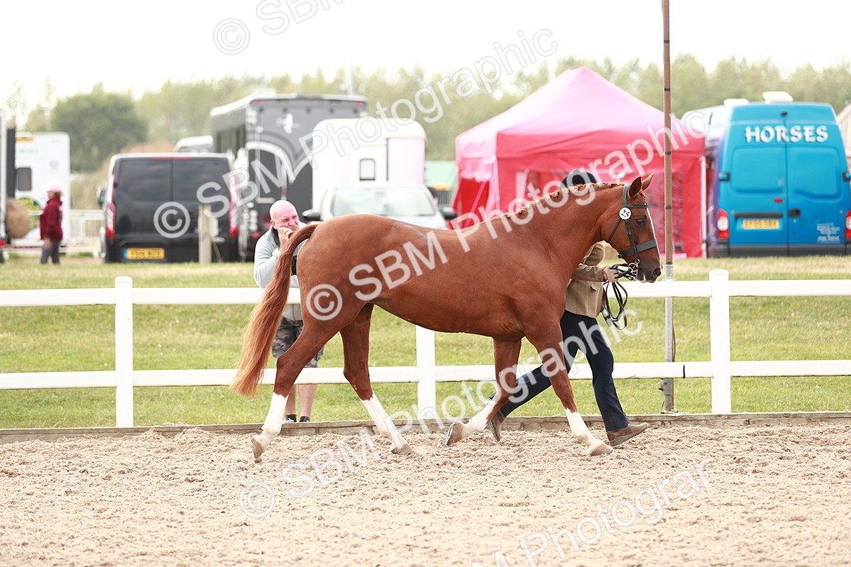 SBM_13167 - Class 208 IH Veteran Horse