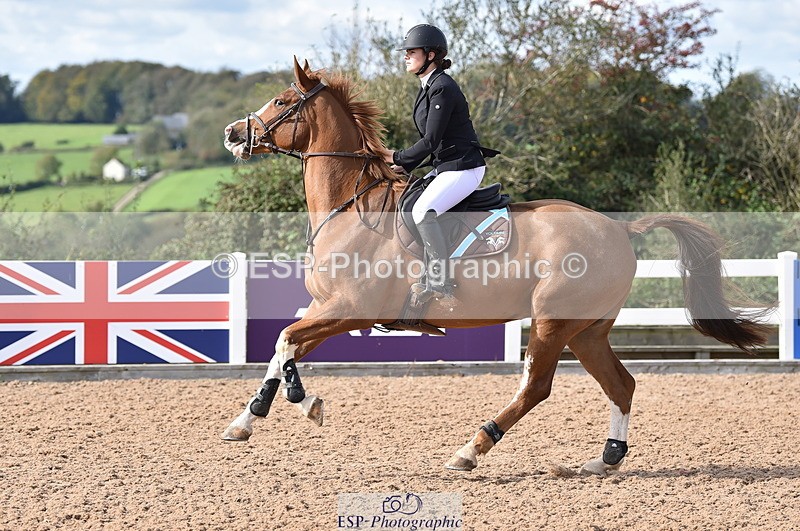 231015A-130828-08211 - Cls 25 95cm Amateur Q 2nd R