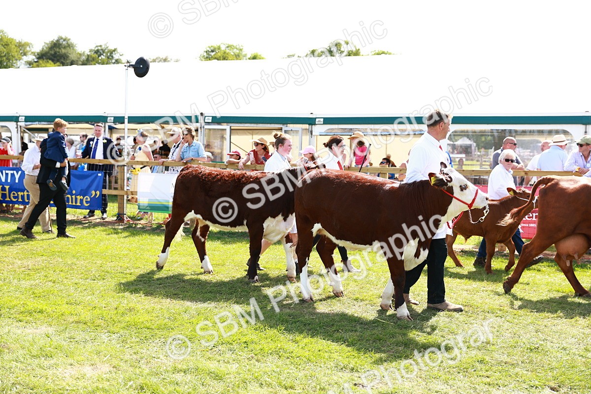 SBM_08449 - Grand Parade