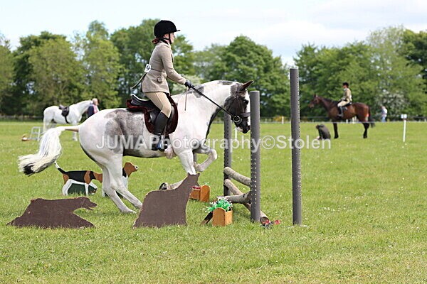 IMG_3230 - Working Hunter