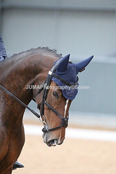 SIAL7780 - GDG Bogenraith Friday 26th Sept 2025