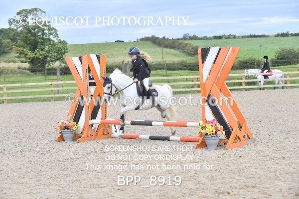 BPP_8919 - CLASS 4 50CM