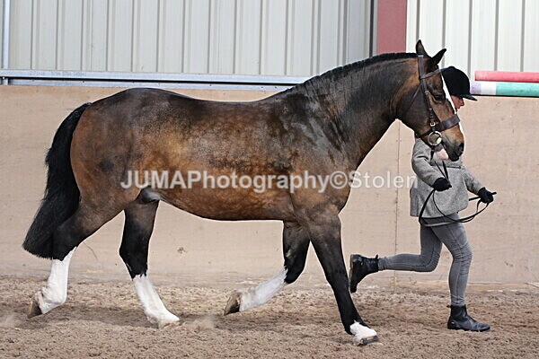 SIAL0095 - Indoor Classes