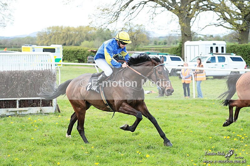 PtP 180426 124 - Worcestershire Hunt PtP Chaddesley Corbett 18/04/26