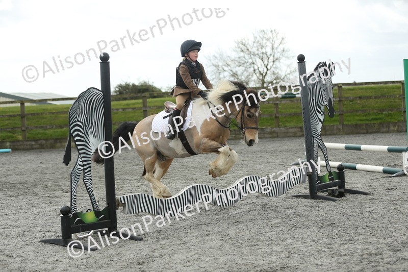 20260412-0649 - Show Jumping