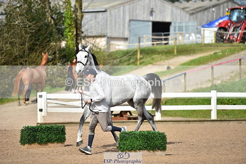 240417A-160538-01106 - 4pm to Finish