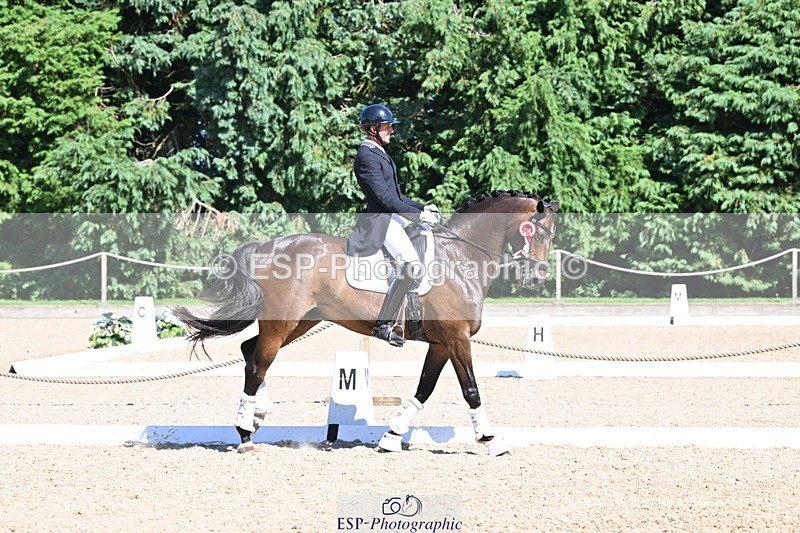 240811-154025-06751 - Inter I Gold