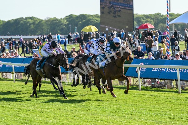 140525-Race 6-Ballistic Missile-2858 - Race 6 4.55pm British Stallion Studs EBF Novice Stakes