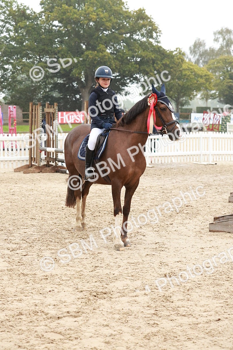SBM_73579 - Supreme Championship Junior Pony 60cm & 65cm